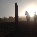 Hand Carved Standing Stone - 2