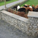 Entrance Wall