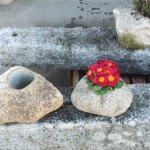 Planters Image 1