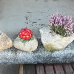 Planters Image 2